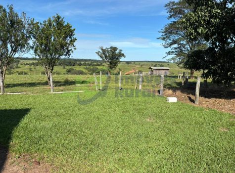 PHOTO-2025-12-21-11-05-08