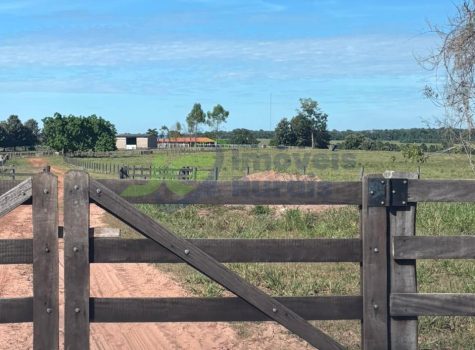 PHOTO-2025-12-21-11-05-08[1]