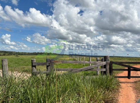 PHOTO-2025-12-21-11-05-09