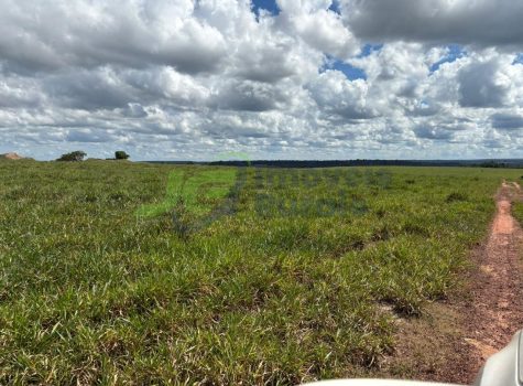 PHOTO-2025-12-21-11-05-09[1]