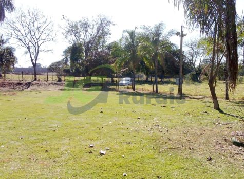 PHOTO-2026-01-10-08-33-19