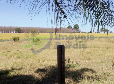 PHOTO-2026-01-10-08-33-21