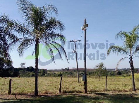 PHOTO-2026-01-10-08-33-21[1]