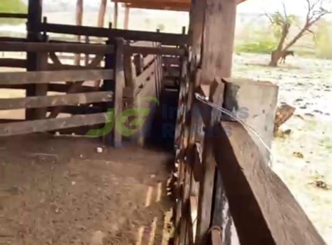 PHOTO-2026-01-10-15-36-34