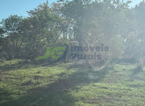 PHOTO-2026-01-12-11-43-04