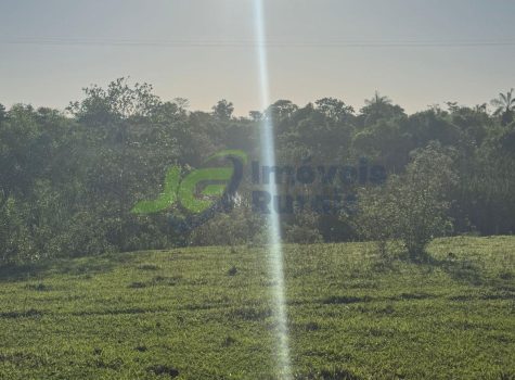 PHOTO-2026-01-12-11-43-05