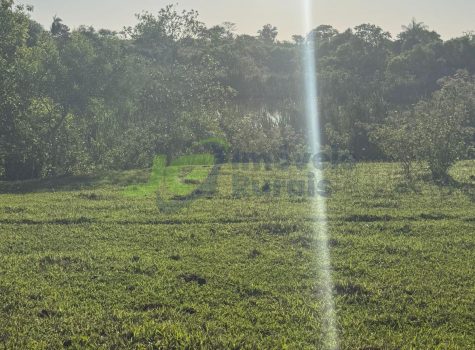 PHOTO-2026-01-12-11-43-05[1]