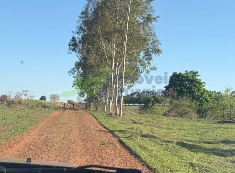 PHOTO-2026-01-12-11-43-05[2]