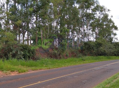 PHOTO-2026-01-16-10-40-07