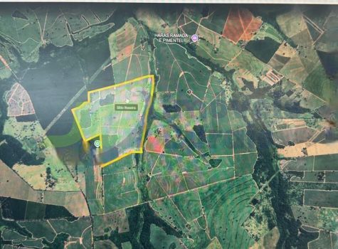 PHOTO-2026-01-17-15-00-38