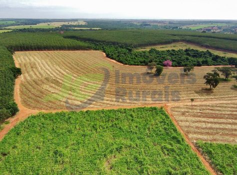 PHOTO-2026-01-17-15-00-38[2]