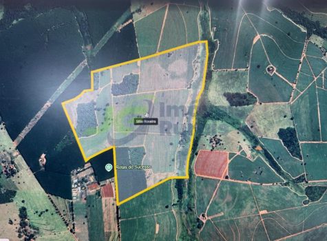 PHOTO-2026-01-17-15-00-38[3]