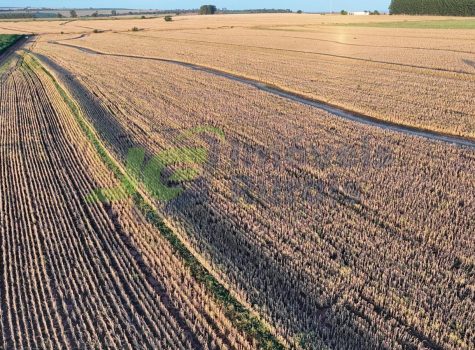 PHOTO-2026-01-19-07-54-18