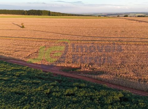 PHOTO-2026-01-19-07-54-18[1]