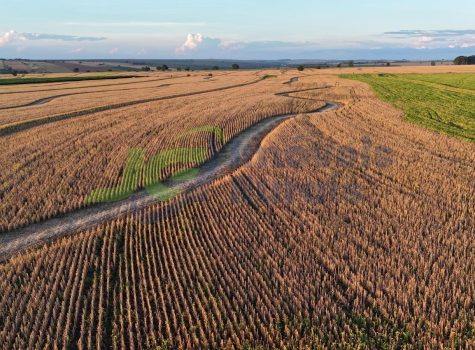 PHOTO-2026-01-19-07-54-19