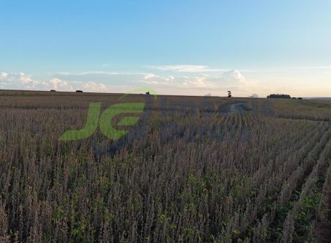 PHOTO-2026-01-19-07-54-19[1]