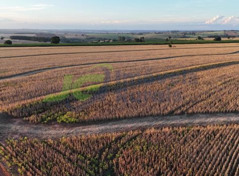 PHOTO-2026-01-19-07-54-19[2]