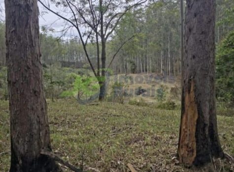 PHOTO-2026-02-03-17-03-19