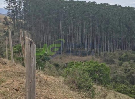 PHOTO-2026-02-03-17-03-19[1]