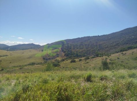 PHOTO-2026-02-04-11-11-44