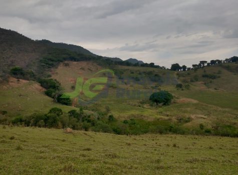 PHOTO-2026-02-04-11-11-44[1]