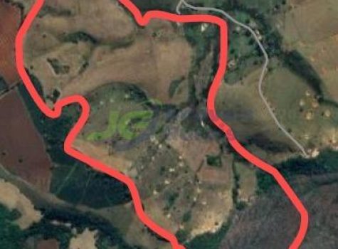 PHOTO-2026-02-04-11-11-44[4]