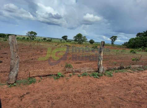 PHOTO-2026-02-04-11-44-50