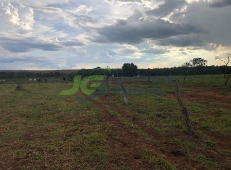 PHOTO-2026-02-04-11-44-51[2]