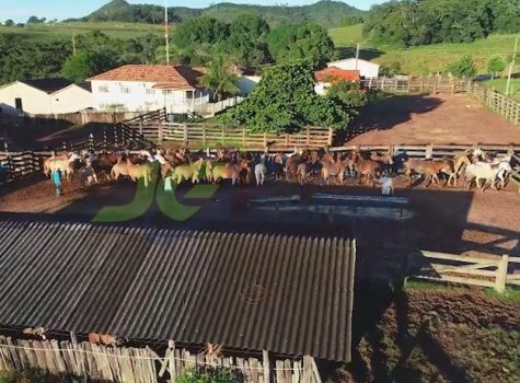 PHOTO-2026-02-04-13-35-32[1]