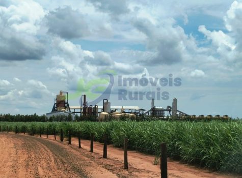 PHOTO-2026-02-18-14-06-16