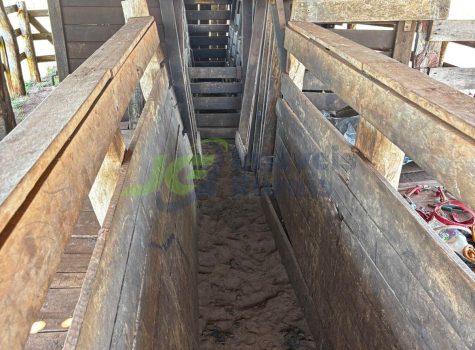 PHOTO-2026-03-31-11-44-09[1]