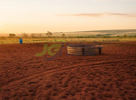 PHOTO-2026-03-31-11-44-11[1]