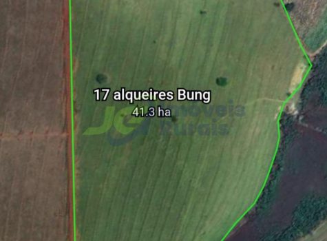 SITIO - 17 ALQ. - INDIAPORÃ - SP