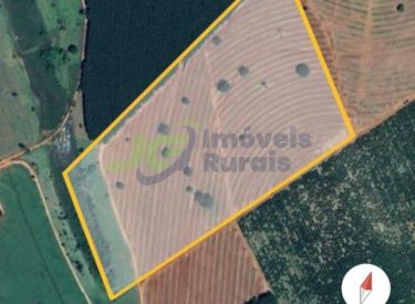 Sitio - 10,5 alq. - Cosmorama - SP