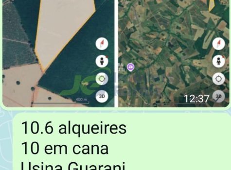 Sitio - 10,6 alq. - Votuporanga - SP