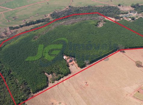 Sitio - 14,30 Alq. - Cosmorama - SP