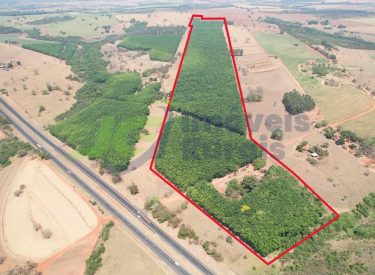 Sitio - 14,49 alq. - Cosmorama - SP