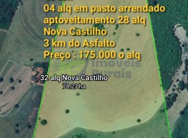 Sitio - 32 alq. - Nova Castilho - SP