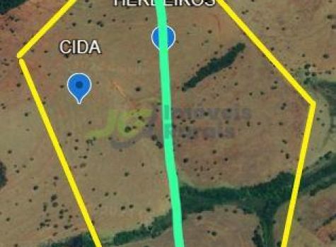 Sitio - 37 Alq. - Tanabi - SP