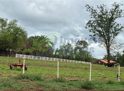 Sitio - 38 Alq. - Riolândia - 04