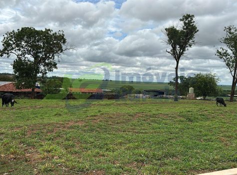 Sitio - 38 Alq. - Riolândia - 06