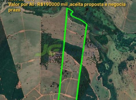 Sitio - 41.9 alq. - Mirassolândia - SP