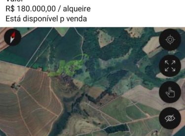 Sitio - 43 alq. - Palestina - SP