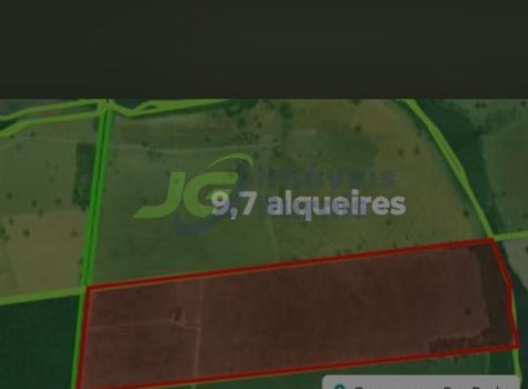 Sitio - 9,7 alq. - Mirassolândia - SP