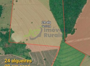 Sitio com 24 Alq. -Indiaporã - SP