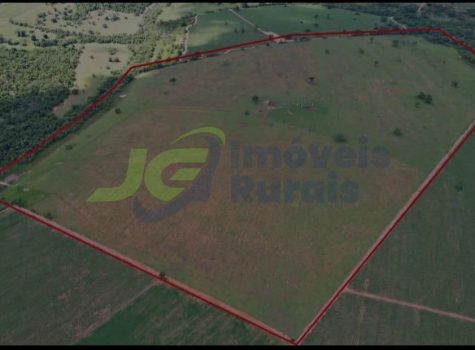 Sitio com 50 Alq. - Nhandeara - SP