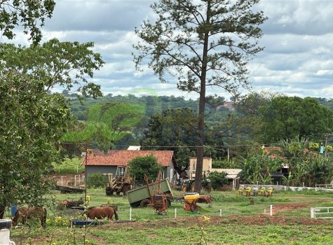 sitio - 38 Alq. - Riolândia - 09